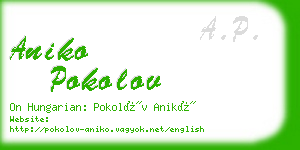 aniko pokolov business card